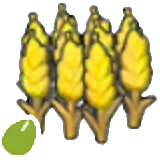Semillas de trigo en Pokémon Pokopia