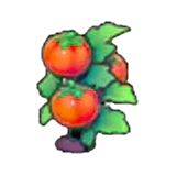 Tomatera madura en Pokémon Pokopia