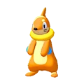 Buizel en Pokémon Pokopia