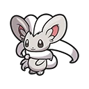 Cinccino en Pokémon Pokopia