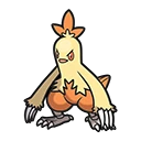 Combusken en Pokémon Pokopia