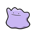 Ditto en Pokémon Pokopia