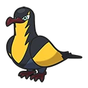 Kilowattrel en Pokémon Pokopia