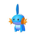 Mudkip en Pokémon Pokopia