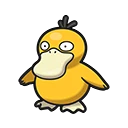 Psyduck en Pokémon Pokopia