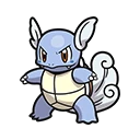 Wartortle en Pokémon Pokopia