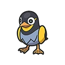 Wattrel en Pokémon Pokopia