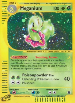 Carta Meganium (Expedition Base Set)