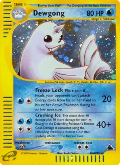 Carta Dewgong (Skyridge)